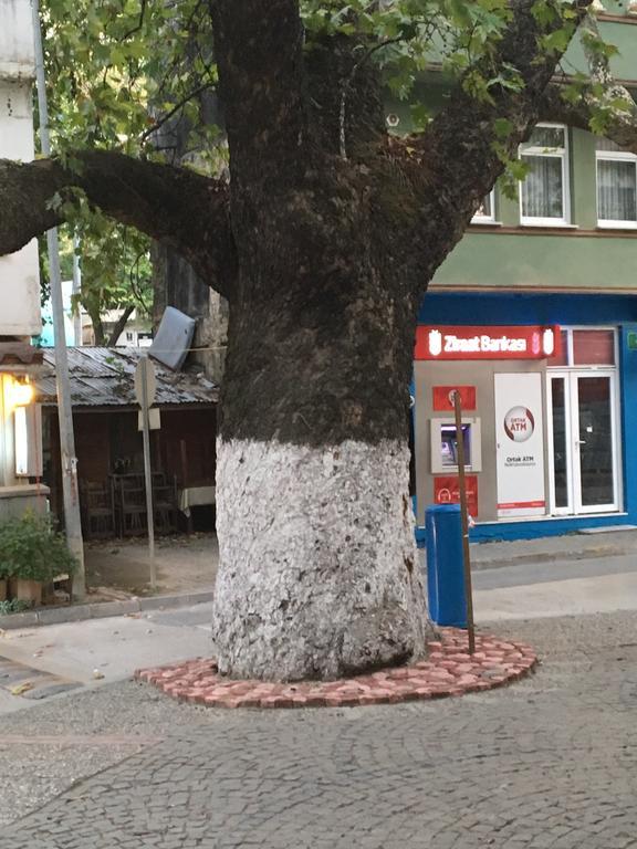 Tirilye Evi Otel Zeytinbagi Dış mekan fotoğraf